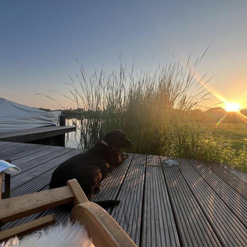 Sommerhus - 6 personer -  - 8754 - Makkum