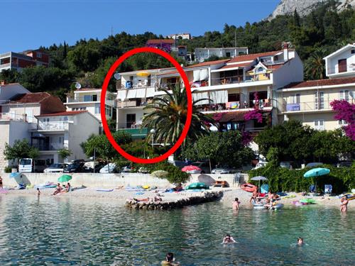 Feriehus / leilighet - 2 personer -  - Podgora - 21327 - Podgora