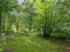 Bild 7 - Gebiet