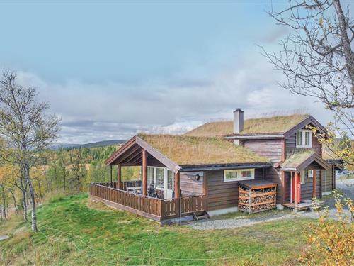 Holiday home - 10 persons -  - Bjødnaskarvegen - Mauredokk/Hallingskarvet - 3576 - Hol