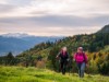 Billede 36