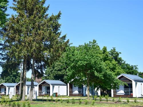 Ferienhaus - 4 Personen -  - Sloneczna - 72-022 - Nowe Warpno
