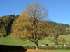 Bild 24 - Ude