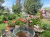 Bild 19