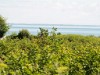Image 12 - View of water