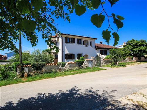 Semesterlägenhet - 2 personer -  - Novigrad (Istra) - 52466