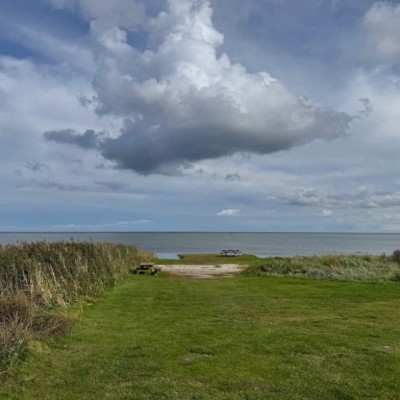 Billede 4