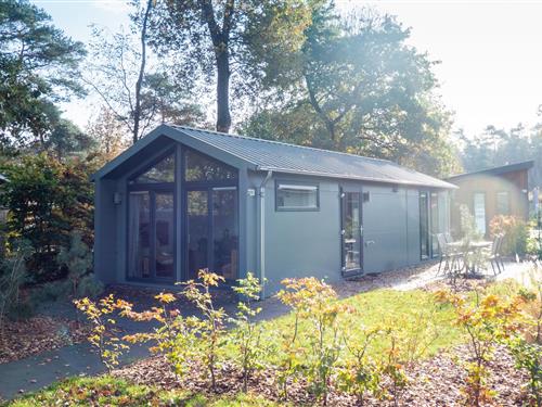 Chalet - 4 personer -  - 6731BV - Otterlo