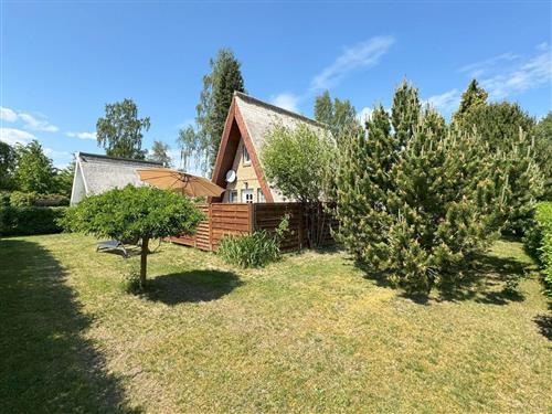 Holiday Home/Apartment - 4 persons -  - Birkenhainring - 17449 - Trassenheide