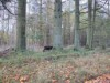 Bild 22