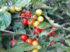 Bild 22