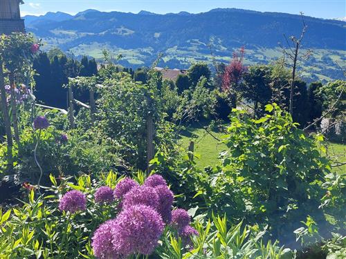 Ferielejlighed - 7 personer -  - Dorf - 6934 - Sulzberg