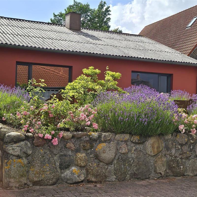 Sommerhus - 6 personer -  - Gartenweg - 25826 - St. Peter-Ording