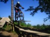 Billede 25