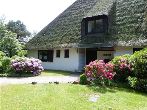 Ferienhaus - 3 Personen -  - Pestalozzistraße - 25826 - St. Peter-Ording