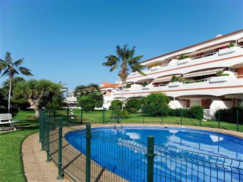 Ferielejlighed - 2 personer -  - Puerto De La Cruz - 38400