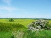 Billede 28