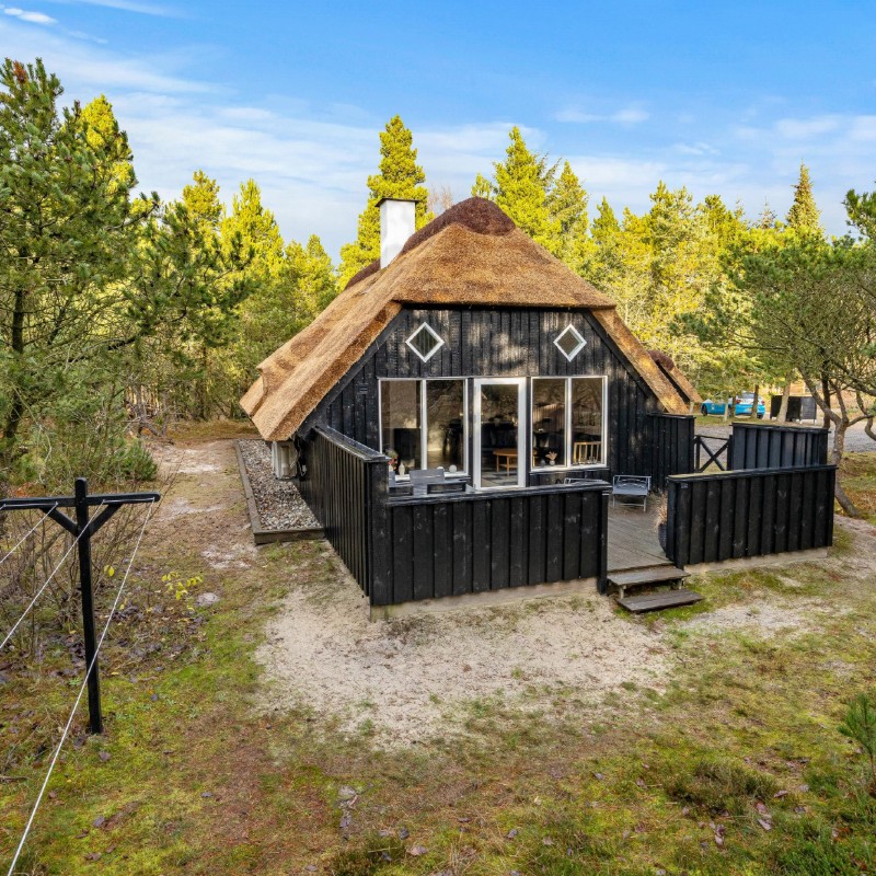 Sommerhus - 6 personer -  - Hedevang - Houstrup - 6830 - Nr. Nebel
