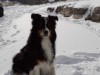 Bilde 3