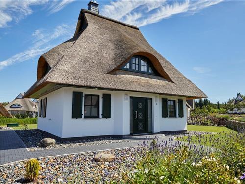Sommerhus - 4 personer -  - 18356 - Fuhlendorf