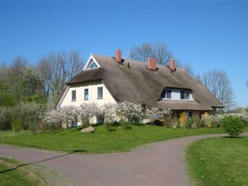 Sommerhus - 6 personer -  - Puddemin - 18574 - Puddemin
