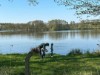 Bild 45