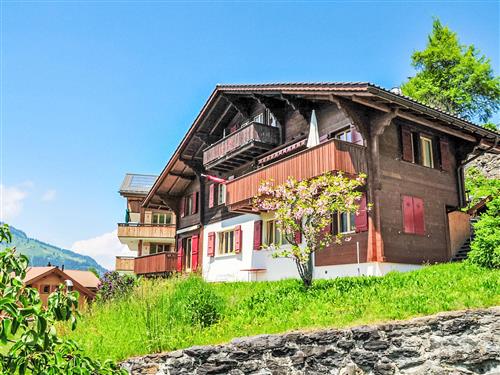 Ferienhaus - 4 Personen -  - Wengen - 3823