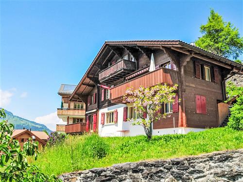 Holiday apartment - 4 persons -  - Wengen - 3823