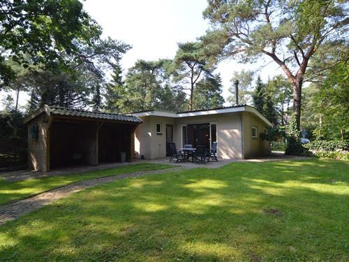 Ferienhaus - 4 Personen -  - 7021hb - Zelhem