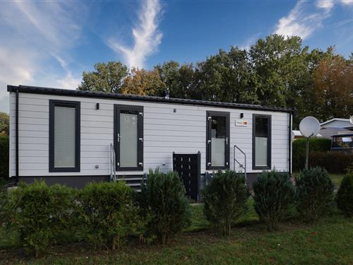 Mobilehome - 2 personer -  - Hauptstraße - 24589 - Borgdorf-Seedorf
