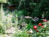 Billede 5