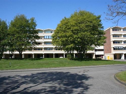 Semesterlägenhet - 3 personer -  - Osterwisch - 24217 - Schönberg