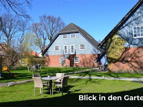 Ferienwohnung - 2 Personen -  - Barther Straße - 18374 - Zingst / Ostseebad Zingst