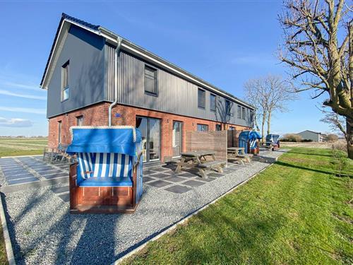 Holiday apartment - 4 persons -  - Mitteldeich - 25845 - Nordstrand