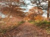 Bild 33
