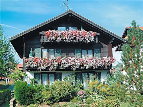 Ferieleilighet - 3 personer -  - Kalzhofer Str. - 87534 - Oberstaufen