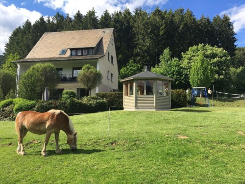 Feriehus - 16 personer -  - Holzstrasse - 59889 - Schmallenberg-Eslohe