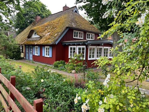 Ferienhaus - 4 Personen -  - Hülsenstraße - 18375 - Prerow