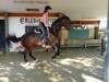 Billede 23