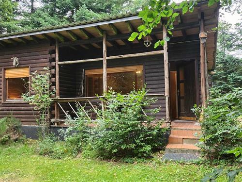 Holiday Home/Apartment - 4 persons -  - 54608 - Brandscheid