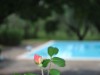 Bild 7 - Ude