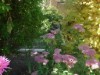 Image 35 - Outside