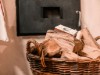 Bild 7 - Ude