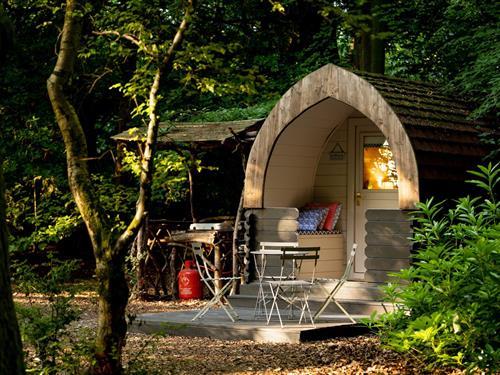 Chalet - 4 persons -  - RG20 9XR - Woolton Hill