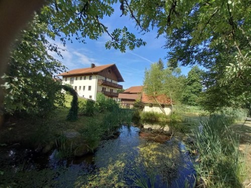 Semesterlägenhet - 4 personer -  - Holzfreyung - 94065 - Waldkirchen