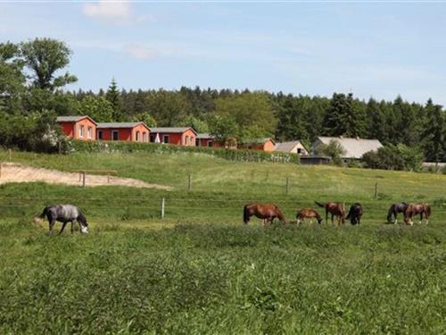 Feriehus / leilighet - 4 personer -  - 18276 - Lohmen