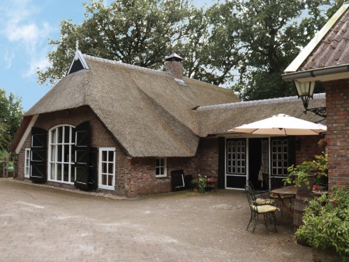 Villa - 9 personer -  - 7797HE - Rheezerveen