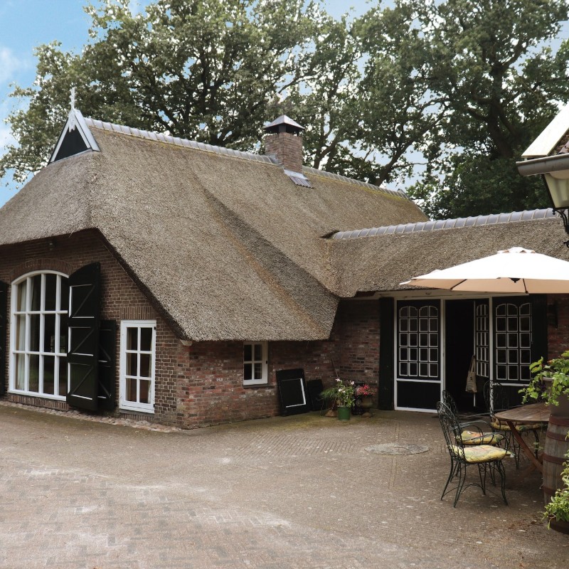 Villa - 9 personer -  - 7797HE - Rheezerveen