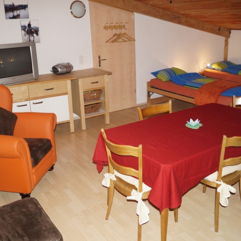 Ferielejlighed - 8 personer -  - 8261 - Hemishofen