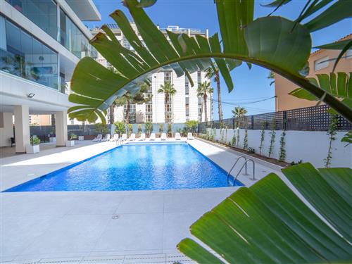 Holiday apartment - 4 persons -  - Calpe/Calp - 03710